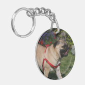 Pug Wearing Red Harness Sleutelhanger (Voorkant Links)
