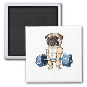 Pug Weightlift Funny Deadlift Mannen Fitness Gym Magneet