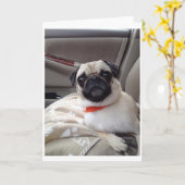 Pug Wenskaart Kaart (Gele Bloem)