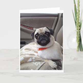 Pug Wenskaart Kaart