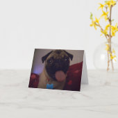 Pug wenskaart Machi Kaart (Gele Bloem)