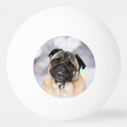 Pug - Willy Pingpongbal (Voorkant)