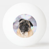 Pug - Willy Pingpongbal (Achterkant)