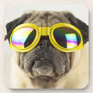 Pug with Goggles Bier Onderzetter