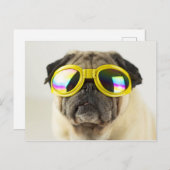 Pug with Goggles Briefkaart (Voorkant / Achterkant)