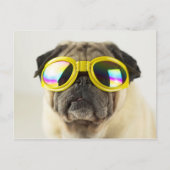 Pug with Goggles Briefkaart (Voorkant)