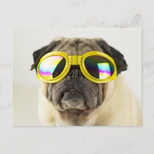 Pug with Goggles Briefkaart (Voorkant)