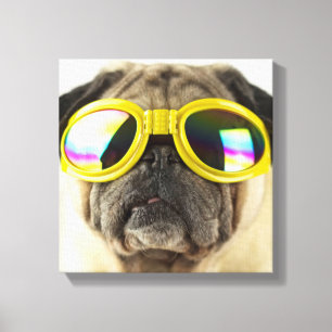 Pug with Goggles Canvas Afdruk