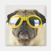 Pug with Goggles Magneet (Voorkant)