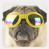 Pug with Goggles Vierkante Sticker (Voorkant)