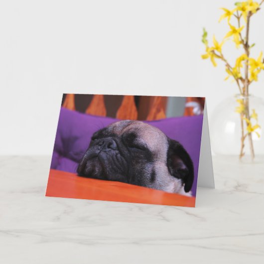 Pug wordt goed Kaart (Gele Bloem)