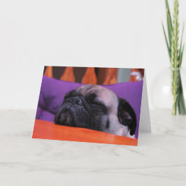 Pug wordt goed Kaart