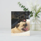 Pug Yawn Briefkaart (Staand voorkant)