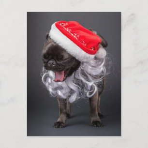 Pug Yawning in een Santa Hat en een baard Feestdagenkaart
