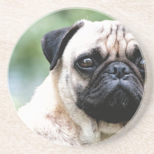 Pug Zandsteen Onderzetter (Voorkant)