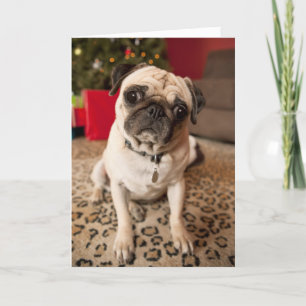 Pug zitting op tapijt, Kerstboom Feestdagen Kaart