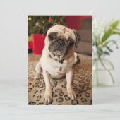 Pug zitting op tapijt, Kerstboom Feestdagenkaart (Staand voorkant)