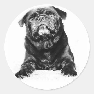 Pug - Zwart PUG Zwart & Wit Ronde Sticker