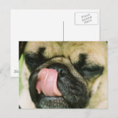 Pugalicious Briefkaart (Voorkant / Achterkant)