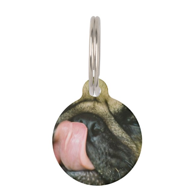 Pugalicious Huisdierpenning (Voorkant)