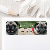 Pugdogs adresetiketten etiket (Insitu)