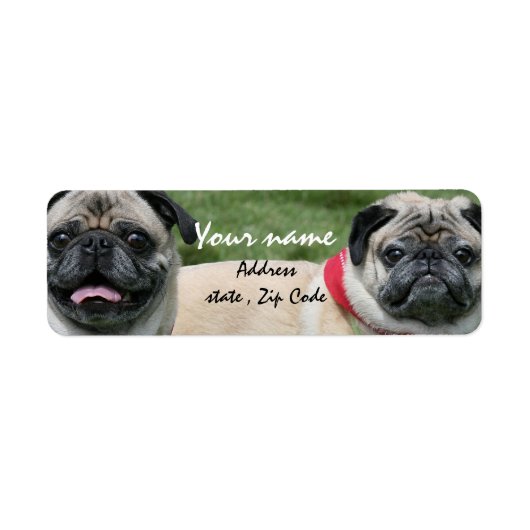 Pugdogs adresetiketten etiket (Voorkant)