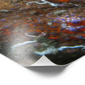 Puget Sound King Crab Fotouitbreiding Foto Afdruk (Hoek)