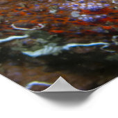 Puget Sound King Crab Poster (Hoek)