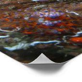 Puget Sound Koningskrab Poster (Hoek)