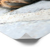 puggelpupil poster (Hoek)