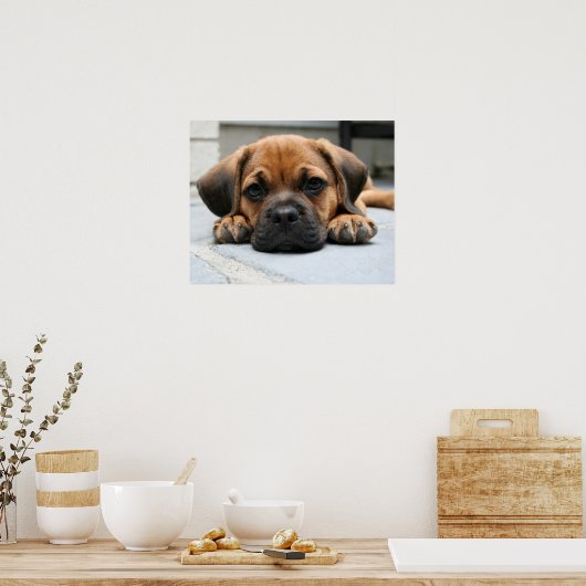 puggelpupil poster (Keuken)