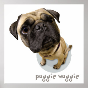 Puggie Wuggie Poster