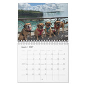 PUGGLE 2020 CALENDAR KALENDER (Mar 2027)
