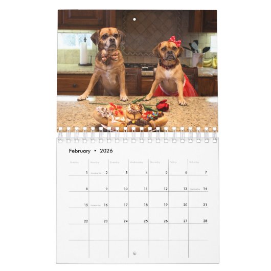 PUGGLE 2020 CALENDAR KALENDER (Feb 2026)