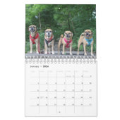 PUGGLE 2020 CALENDAR KALENDER (Jan 2026)