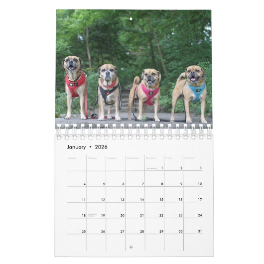 PUGGLE 2020 CALENDAR KALENDER (Jan 2026)