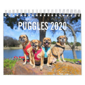 PUGGLE 2020 CALENDAR KALENDER (Hoes)