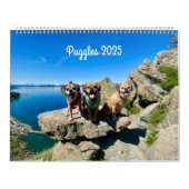 Puggle 2025 Kalender (Hoes)