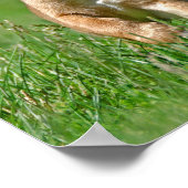 Puggle aan de looppas poster (Hoek)