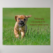 Puggle aan de looppas poster (Voorkant)