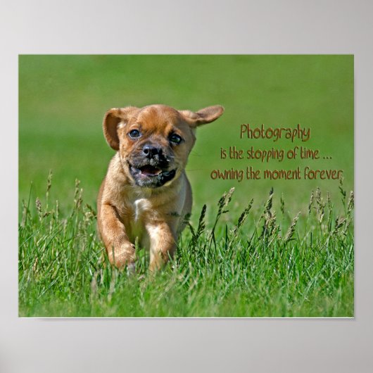 Puggle aan de looppas poster (Voorkant)