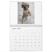 Puggle! Agenda 2013 Kalender (Jan 2027)
