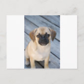 puggle briefkaart (Voorkant)