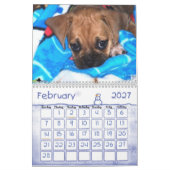 Puggle Calendar Kalender (Feb 2027)