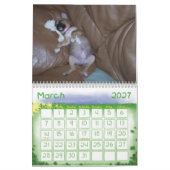 Puggle Calendar Kalender (Mar 2027)