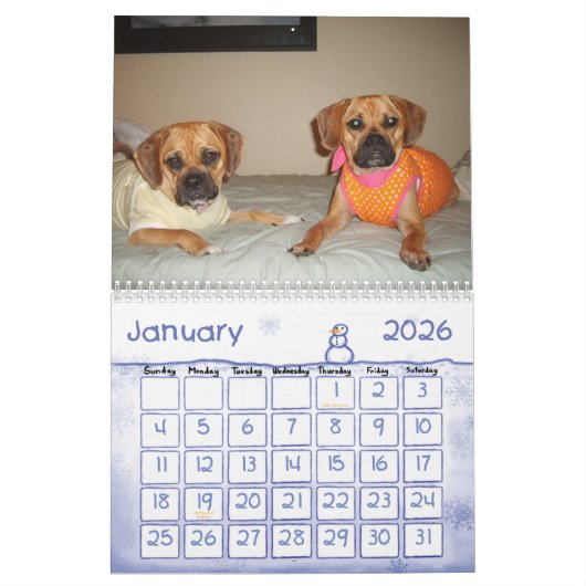 Puggle Calendar Kalender (Jan 2026)