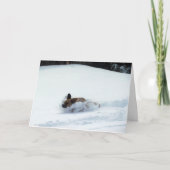 Puggle! De Kaart van de vakantie (Voorkant)