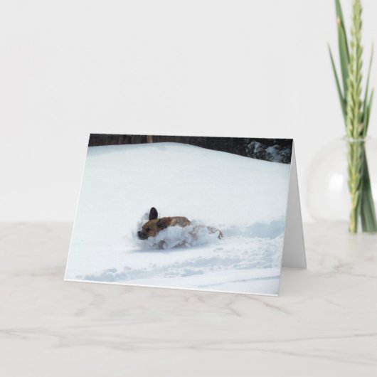 Puggle! De Kaart van de vakantie (Voorkant)