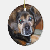 Puggle Dog Chrstmas Ornament (Links)