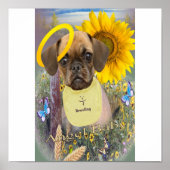 Puggle Drooling in Poster (Voorkant)